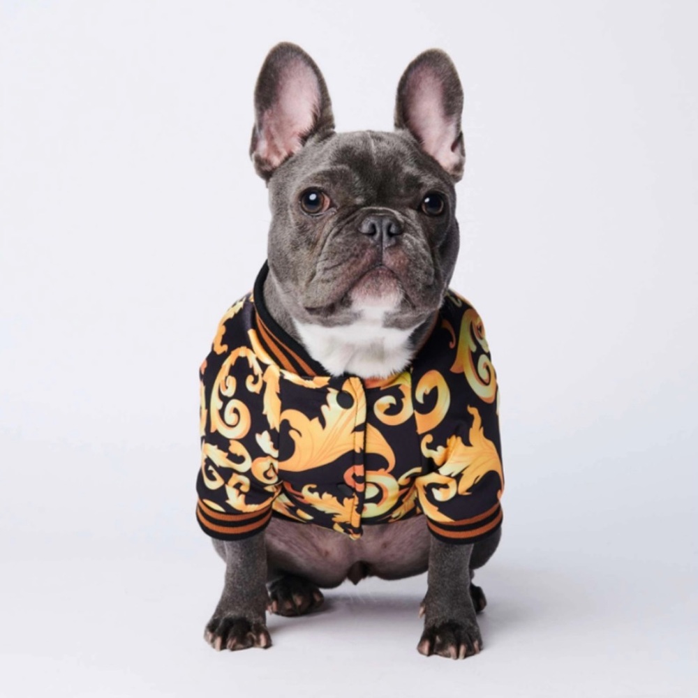 Elegant Black and Gold Dog Coat